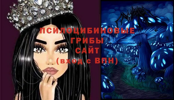 СК Верхний Тагил