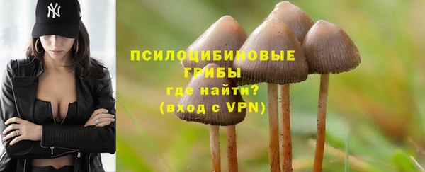 ALPHA PVP Бугульма