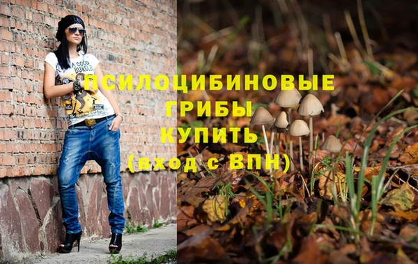 гидропоника Бронницы