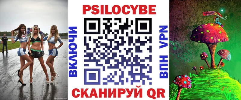 Псилоцибиновые грибы Psilocybe  Купить  Любань 